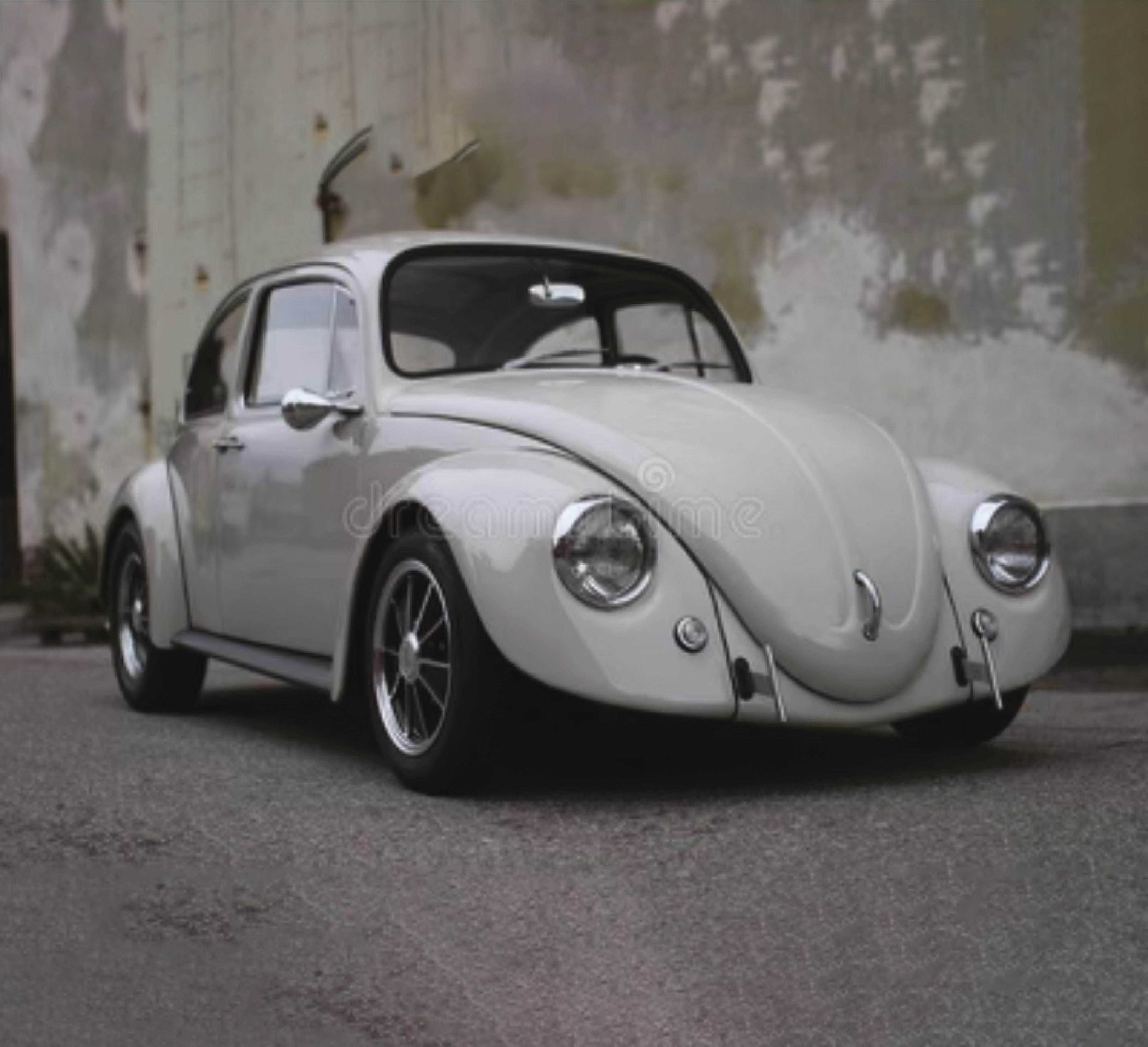 Before - Raster Image